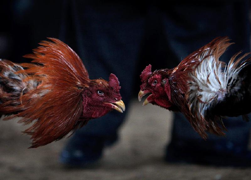 走进刘三姐大观园--听,是谁在唱歌(3)