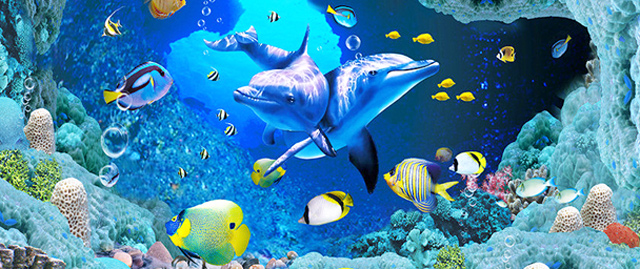 太平洋海底世界是以展示大海生物为主的,集科普、观赏、娱乐为一体的现代化综合性博览馆,是中国海洋协会授予的北京海洋科普教育基地,来到这可以获取无限乐趣和丰富的海洋知识。 博览馆船舱式设计源于加勒比海盗船的畅想,让您有置身于神秘传奇的海盗船中。 在辽阔的大海上与自然、与海盗搏击,考验你驾驭大海的能力;船舱通道光线若明若暗,墙壁上悬挂宝剑和兽面装饰物;在不经意中还会与海盗相遇,来一次亲密接触。 馆内主要展示珍稀的热带淡水鱼和美丽的珊瑚鱼小池区、企鹅馆、270度的海底透明隧道、可以亲手触摸海洋小动物的触摸池