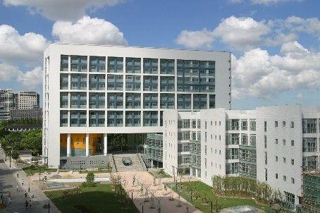 同济大学的情与景