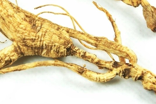 ʲôز