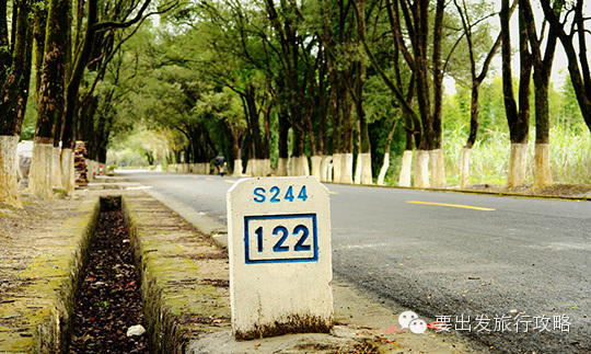 s244,广东最美省道,约吗?