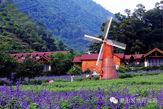 广东省内四大经典自驾游线路(5)